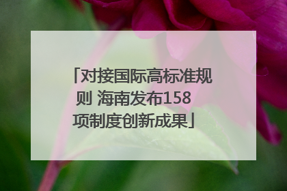 对接国际高标准规则 海南发布158项制度创新成果