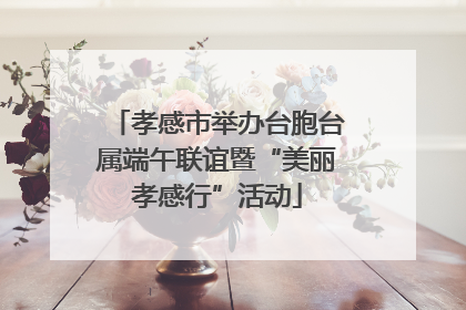 孝感市举办台胞台属端午联谊暨“美丽孝感行”活动