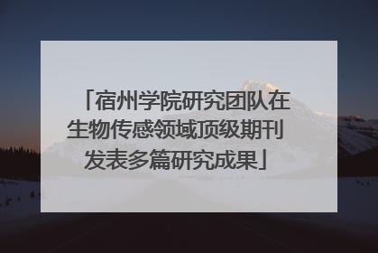 宿州学院研究团队在生物传感领域顶级期刊发表多篇研究成果