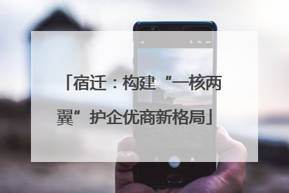 宿迁：构建“一核两翼”护企优商新格局