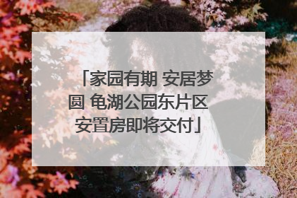 家园有期 安居梦圆 龟湖公园东片区安置房即将交付