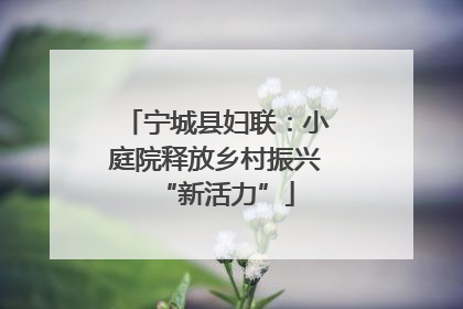 宁城县妇联：小庭院释放乡村振兴“新活力”