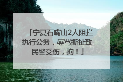 宁夏石嘴山2人阻拦执行公务，辱骂撕扯致民警受伤，拘！