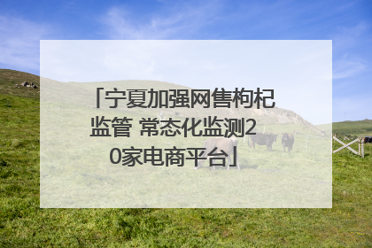 宁夏加强网售枸杞监管 常态化监测20家电商平台