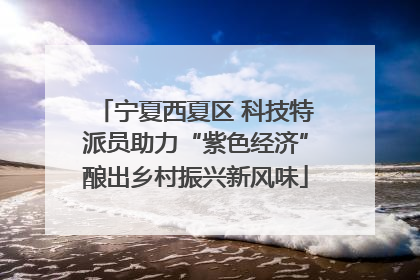 宁夏西夏区 科技特派员助力“紫色经济”酿出乡村振兴新风味