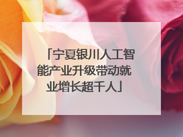 宁夏银川人工智能产业升级带动就业增长超千人