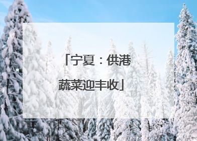宁夏：供港蔬菜迎丰收