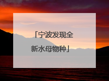 宁波发现全新水母物种