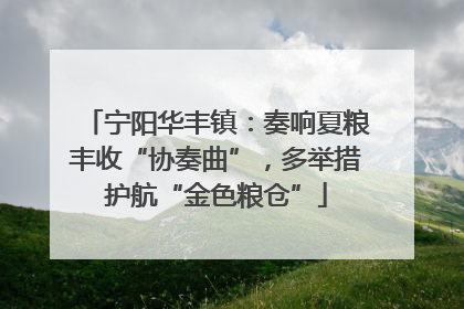 宁阳华丰镇：奏响夏粮丰收“协奏曲”，多举措护航“金色粮仓”