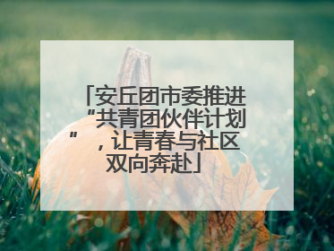 安丘团市委推进“共青团伙伴计划”，让青春与社区双向奔赴