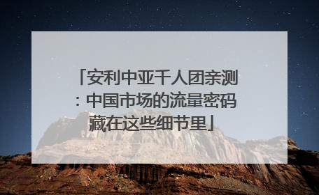安利中亚千人团亲测：中国市场的流量密码 藏在这些细节里