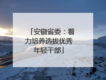 安徽省委：着力培养选拔优秀年轻干部