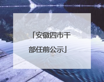 安徽四市干部任前公示