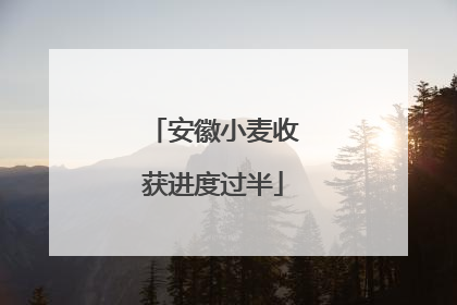 安徽小麦收获进度过半