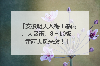 安徽明天入梅！暴雨、大暴雨、8～10级雷雨大风来袭！