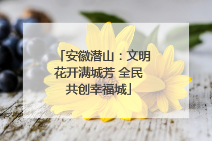 安徽潜山：文明花开满城芳 全民共创幸福城