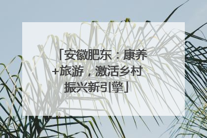安徽肥东：康养+旅游，激活乡村振兴新引擎
