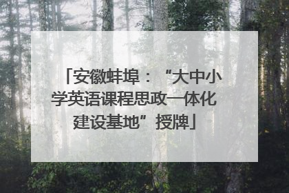 安徽蚌埠：“大中小学英语课程思政一体化建设基地”授牌