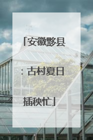 安徽黟县：古村夏日插秧忙