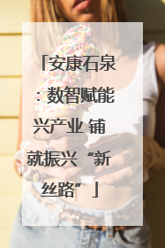 安康石泉：数智赋能兴产业 铺就振兴“新丝路”