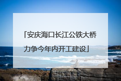 安庆海口长江公铁大桥力争今年内开工建设