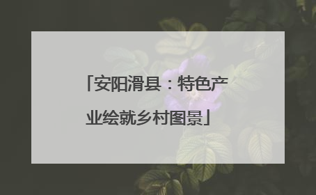 安阳滑县：特色产业绘就乡村图景