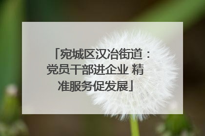宛城区汉冶街道：党员干部进企业 精准服务促发展