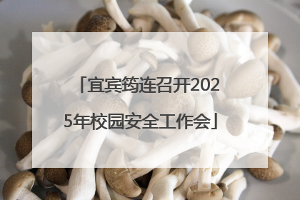 宜宾筠连召开2025年校园安全工作会
