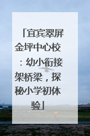 宜宾翠屏金坪中心校：幼小衔接架桥梁，探秘小学初体验