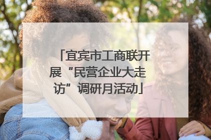 宜宾市工商联开展“民营企业大走访”调研月活动