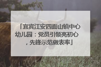 宜宾江安四面山镇中心幼儿园：党员引领亮初心，先锋示范做表率