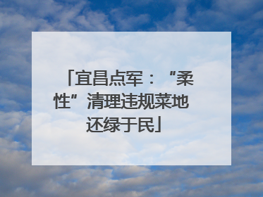 宜昌点军：“柔性”清理违规菜地 还绿于民