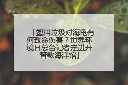 塑料垃圾对海龟有何致命伤害？世界环境日总台记者走进开普敦海洋馆