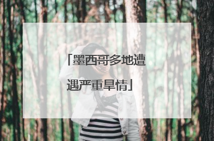 墨西哥多地遭遇严重旱情
