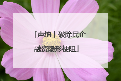 声纳丨破除民企融资隐形梗阻