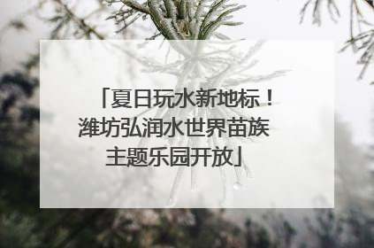 夏日玩水新地标！潍坊弘润水世界苗族主题乐园开放