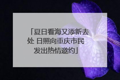夏日看海又添新去处 日照向重庆市民发出热情邀约