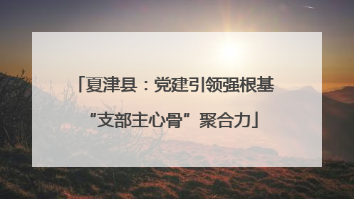夏津县：党建引领强根基 “支部主心骨”聚合力