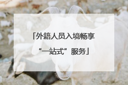 外籍人员入境畅享“一站式”服务