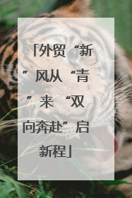 外贸“新”风从“青”来 “双向奔赴”启新程