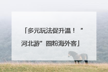 多元玩法促升温！“河北游”圈粉海外客