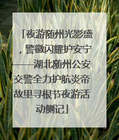 夜游随州光影盛，警徽闪耀护安宁——湖北随州公安交警全力护航炎帝故里寻根节夜游活动侧记