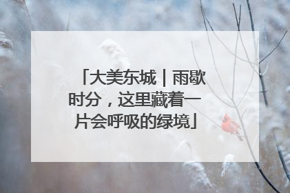 大美东城｜雨歇时分，这里藏着一片会呼吸的绿境