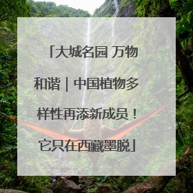 大城名园 万物和谐｜中国植物多样性再添新成员！它只在西藏墨脱