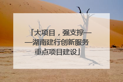 大项目，强支撑——湖南建行创新服务重点项目建设