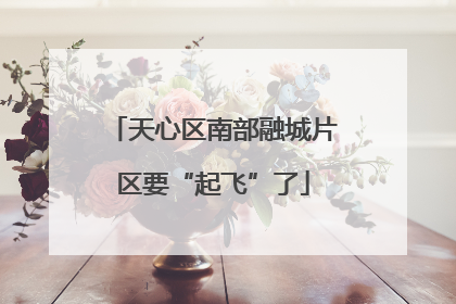 天心区南部融城片区要“起飞”了