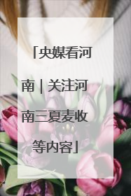 央媒看河南｜关注河南三夏麦收等内容