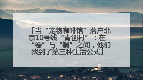当“宠物咖啡馆”落户北京10号线“青创村”：在“卷”与“躺”之间，他们找到了第三种生活公式