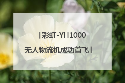 彩虹-YH1000无人物流机成功首飞