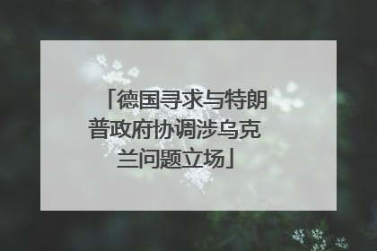 德国寻求与特朗普政府协调涉乌克兰问题立场